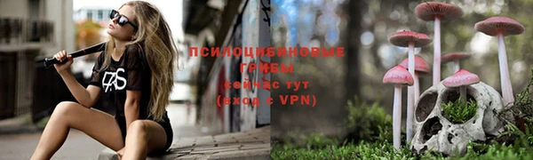 спиды Иннополис