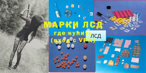 a pvp Инта