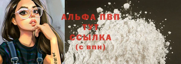 спиды Иннополис